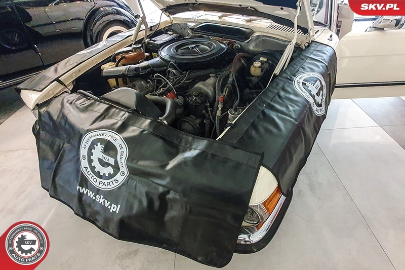 Cover, bumper